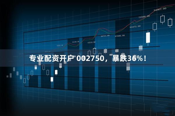 专业配资开户 002750，暴跌36%！
