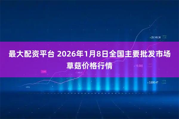 最大配资平台 2026年1月8日全国主要批发市场草菇价格行情